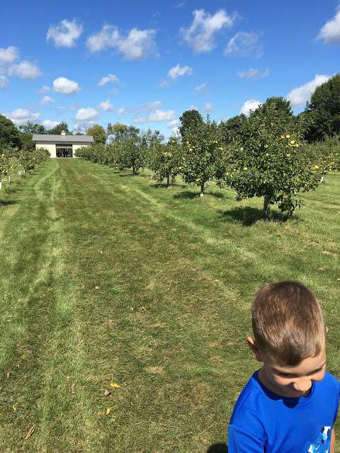 Woodstock Country Orchard